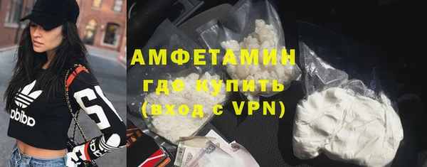 сатива Козловка