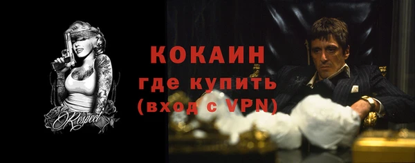 сатива Козловка