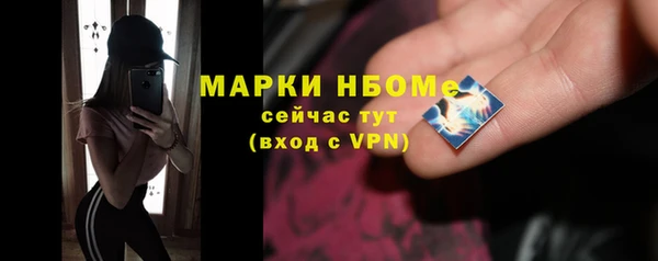 сатива Козловка