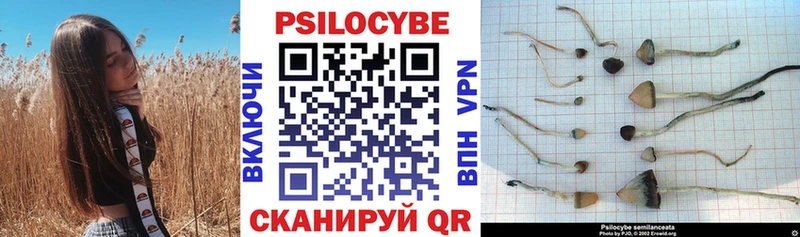 Галлюциногенные грибы мицелий  Купить где  Лермонтов 